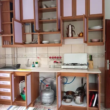 A Flat That Include Town And Nature View Alanya
