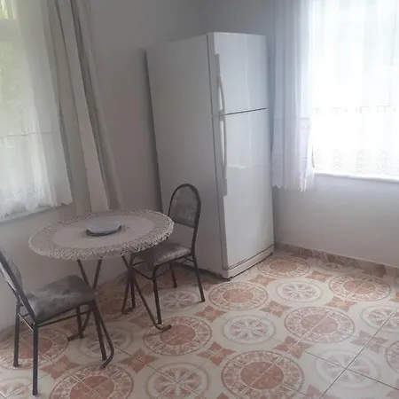 A Flat That Include Town And Nature View * 阿拉尼亚