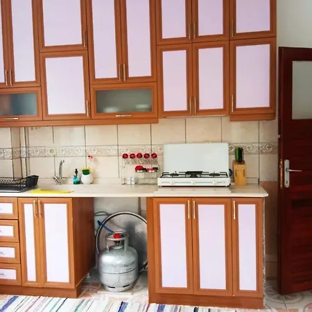 公寓 A Flat That Include Town And Nature View 阿拉尼亚